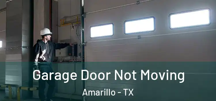  Garage Door Not Moving Amarillo - TX