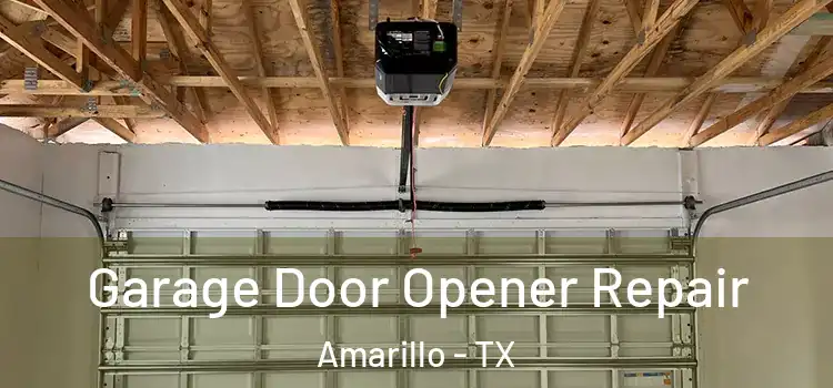  Garage Door Opener Repair Amarillo - TX