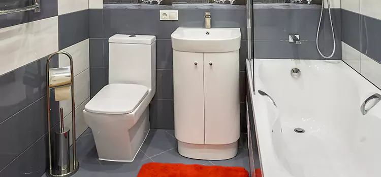 Hansgrohe Shaving Mirror Amarillo