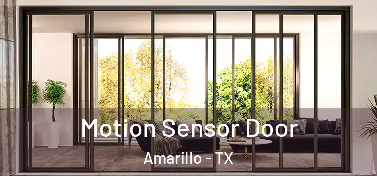  Motion Sensor Door Amarillo - TX